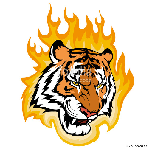 500x500 Tiger On Fire, Vector Graphic To Design Stock Image And Royalty