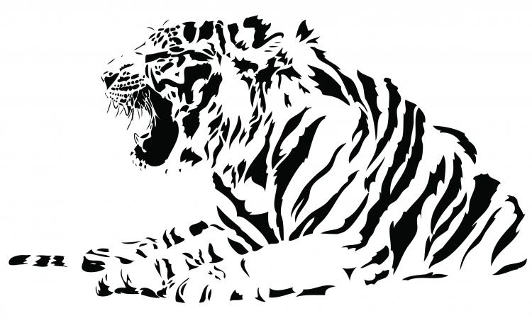 750x449 Both Black And White Tiger