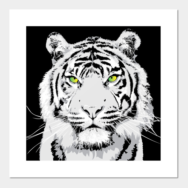 Dramatic White Tiger Vector Art Design 630x630 Dramatic White Tiger Vector Art Design