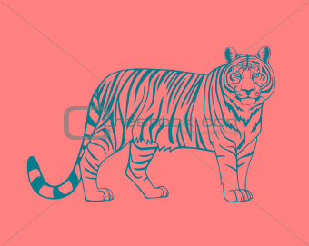 Image Black And White Wild Tiger Vector From Crestock 340x271 Image Black And White Wild Tiger Vector From Crestock