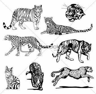 Image Set Black Silhouette Wild Tiger Vector 340x332 Image Set Black Silhouette Wild Tiger Vector