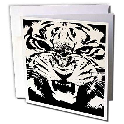 Taiche 425x425 Taiche