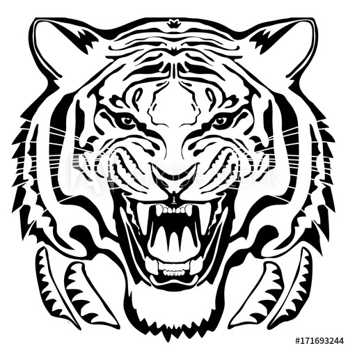 Angry Tiger Head Hand Drawn Vector Graphic Black Drawing 500x500 Angry Tiger Head Hand Drawn Vector Graphic Black Drawing