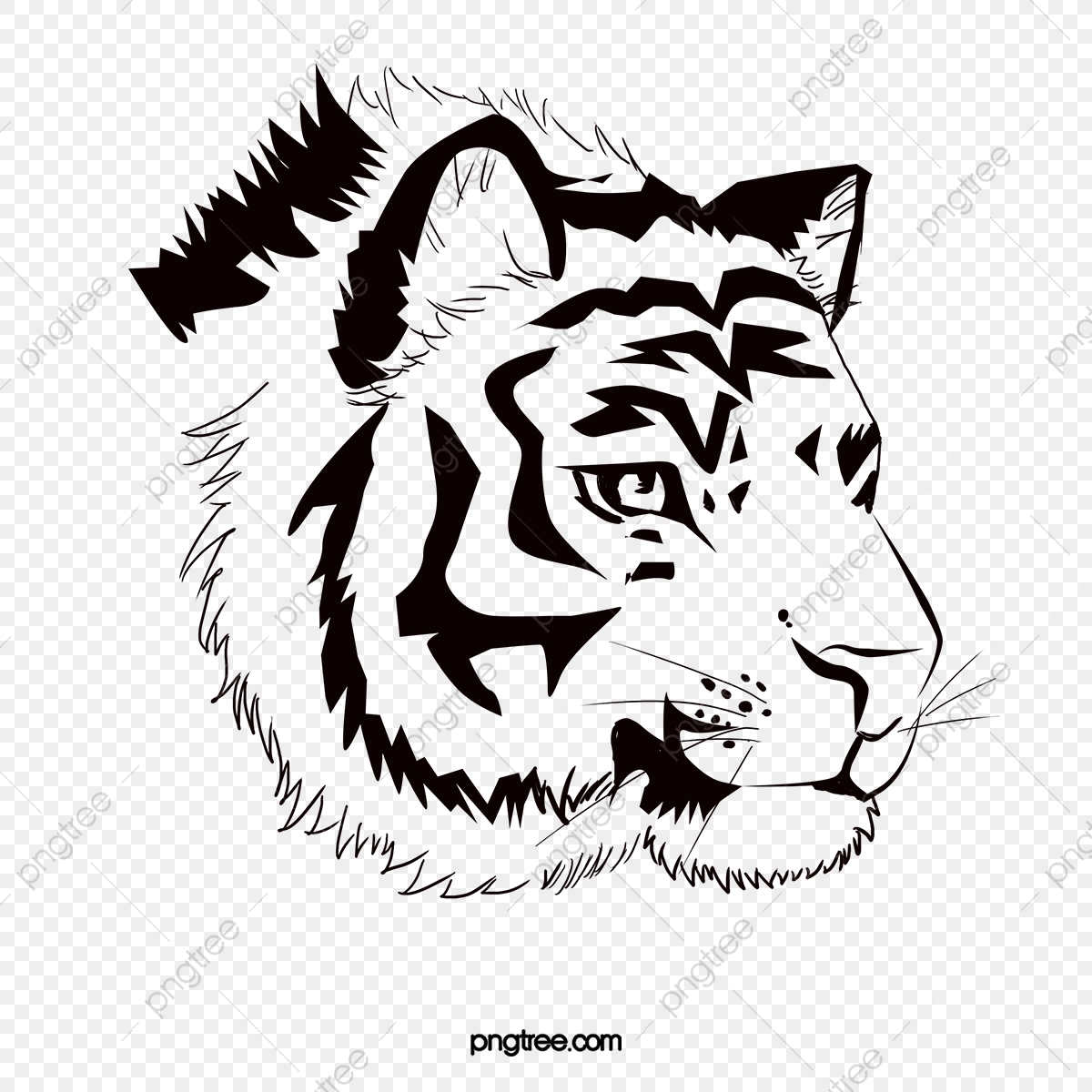 Vector Black And White Tiger, Tiger Clipart, Steller, Black 1200x1200 Vector Black And White Tiger, Tiger Clipart, Steller, Black