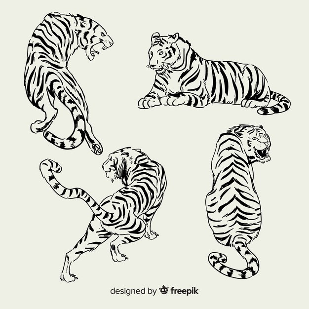 Tiger Vector Black And White at Vectorified.com | Collection of Tiger ...