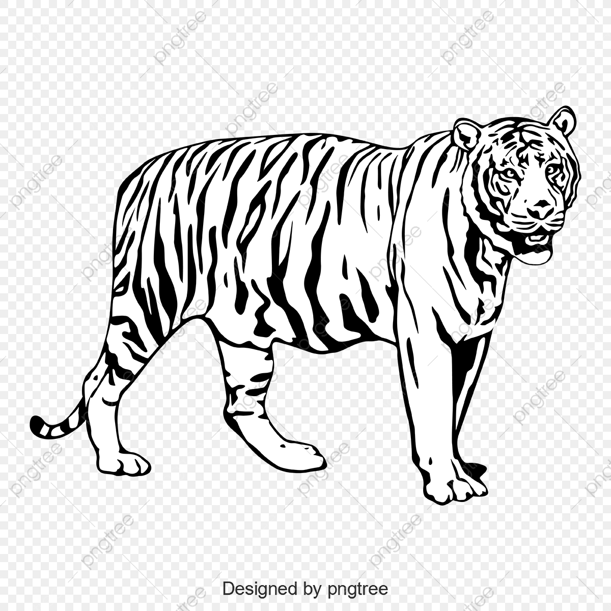 Tiger Vector Black And White at Vectorified.com | Collection of Tiger ...