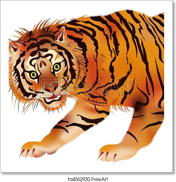 Free Art Print Of Siberian Tiger 561x581 Free Art Print Of Siberian Tiger