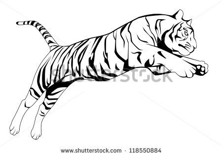 Free Jumping Tiger Free Vector Download 450x317 Free Jumping Tiger Free Vector Download