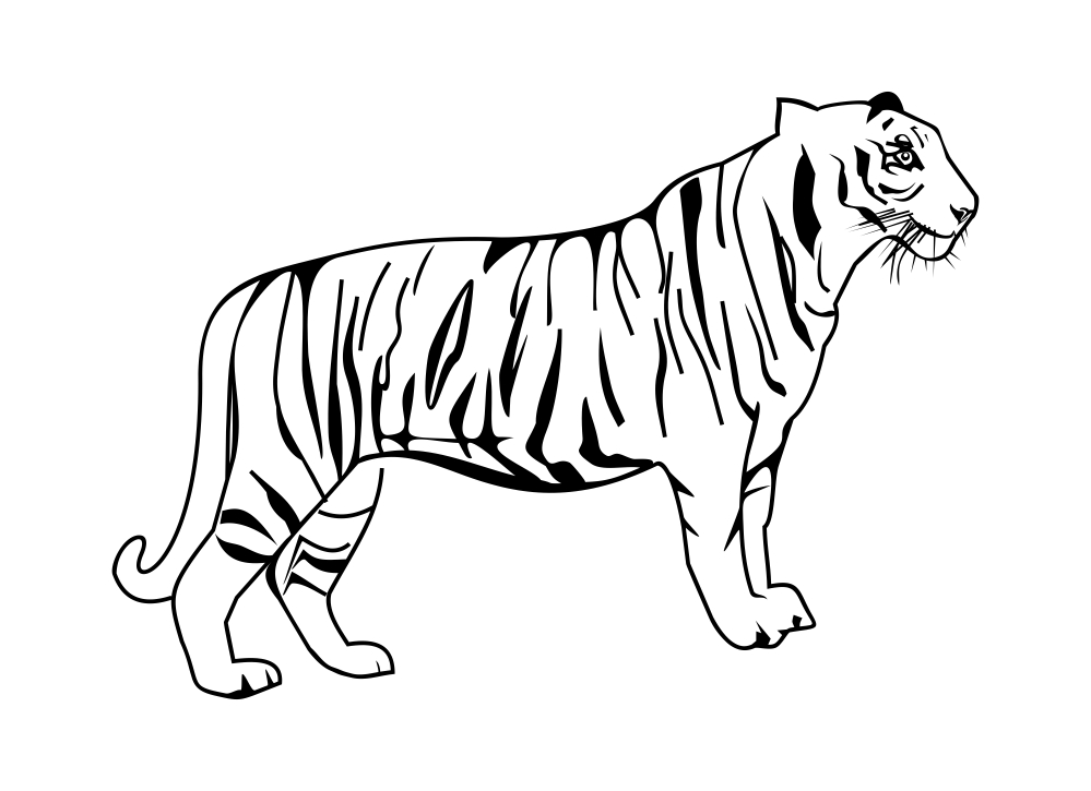 Tiger Vector Free at Vectorified.com | Collection of Tiger Vector Free ...