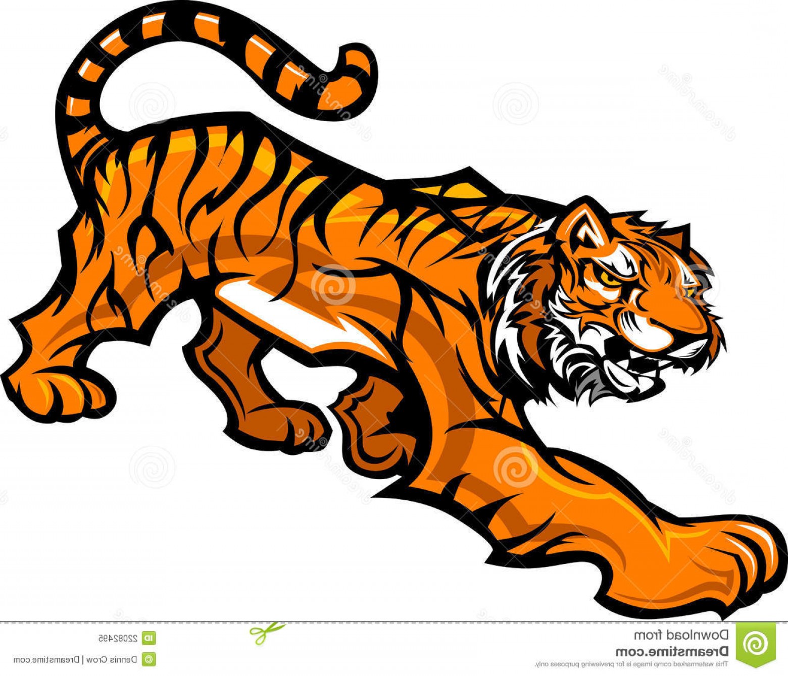 Royalty Free Stock Photo Tiger Mascot Body Graphic Image 1560x1339 Royalty Free Stock Photo Tiger Mascot Body Graphic Image