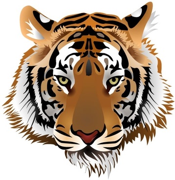 Tiger Vector Free Download Free Vector Download 358x368 Tiger Vector Free Download Free Vector Download