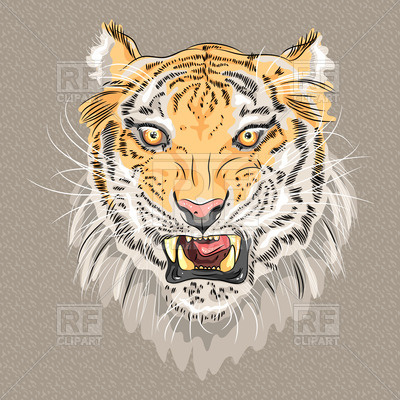 Closeup Portrait Of Menacing Growling Amur Tiger Vector Image 400x400 Closeup Portrait Of Menacing Growling Amur Tiger Vector Image