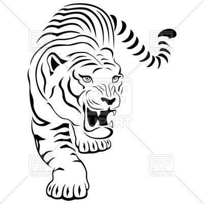 Tiger Vector Image