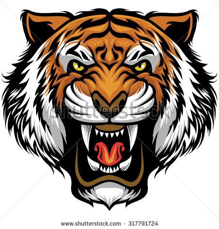 450x470 Tiger Stock Photos Royalty Free Images Vectors