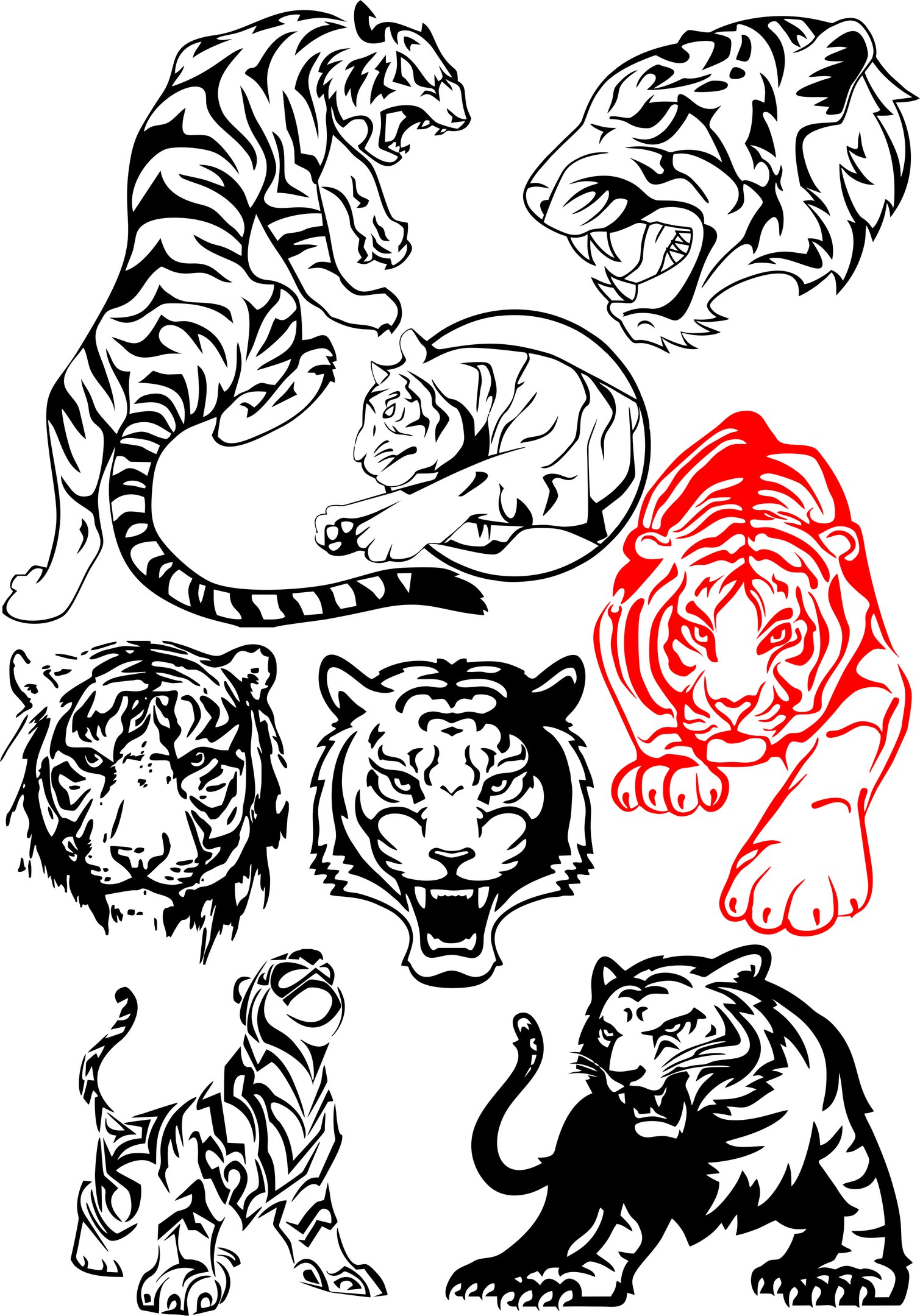1509x2160 Big Tiger Vectors Pack Free Vector Free Download Vector Graphic Art