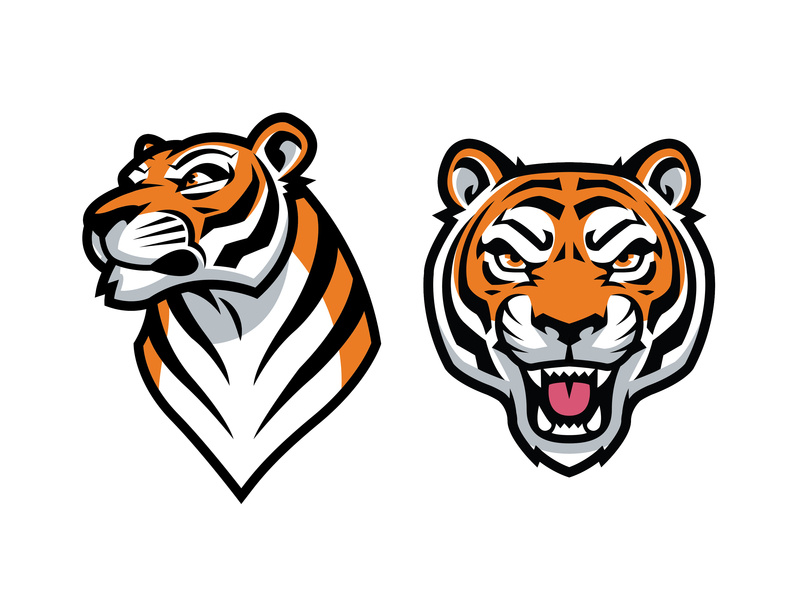 800x600 Tiger Vector Graphics