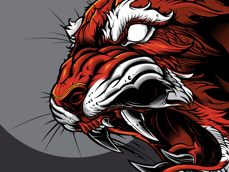 800x600 Tiger Vector