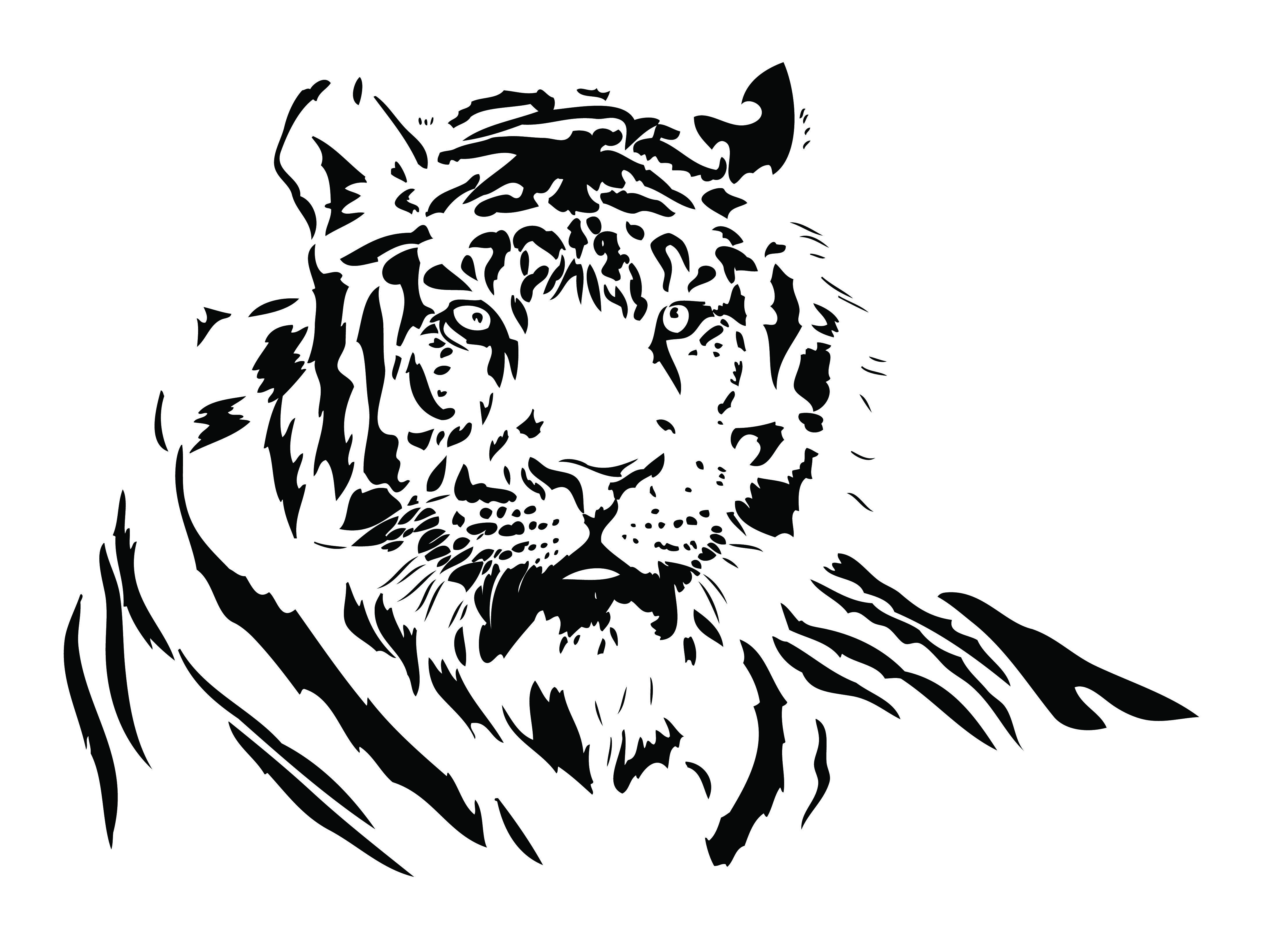 4397x3280 Free Vector Both Black And White Tiger Vector Drawing Tiger