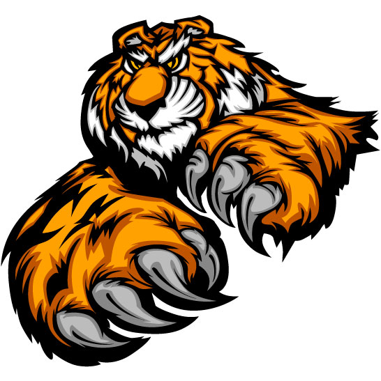 546x547 Set Of Tiger Vector Picture Art Free Download