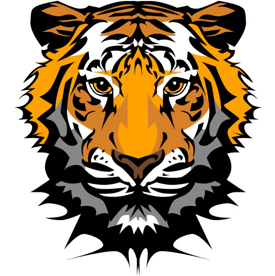 546x548 Set Of Tiger Vector Picture Art Free Download