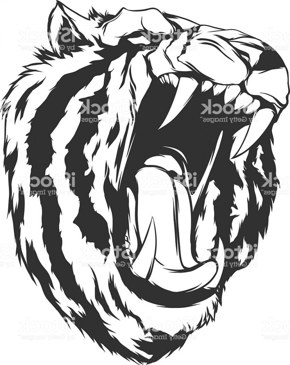 976x1228 Ilustracicbn De Vectores Con Cabeza De Tigre Gm Soidergi
