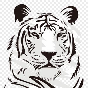 300x300 Ilustracicbn Grcafica De Vector De Tigre Gm Soidergi