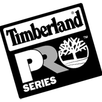 200x200 T Vector Logos, Brand Logo, Company Logo