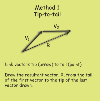 Vectors 320x325 Vectors