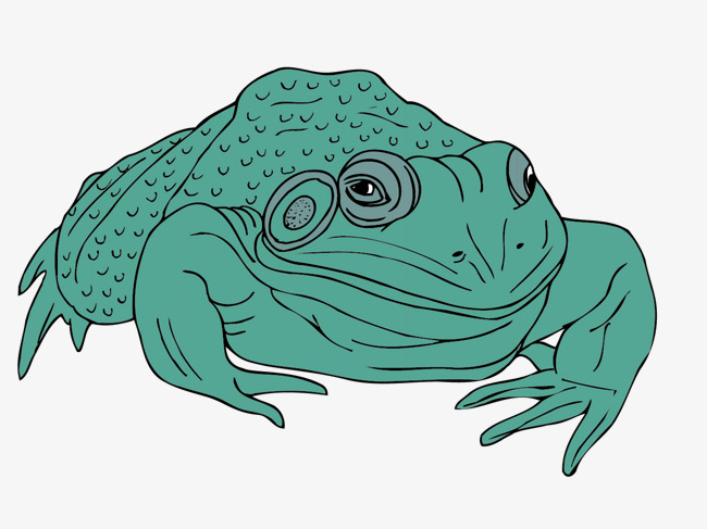 650x487 Light Green Toad Vector Material, Light Vector, Green Vector