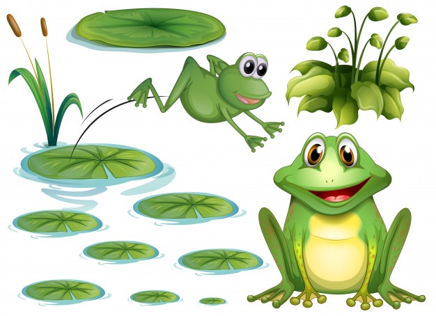 626x454 Toad Vectors, Photos And Free Download
