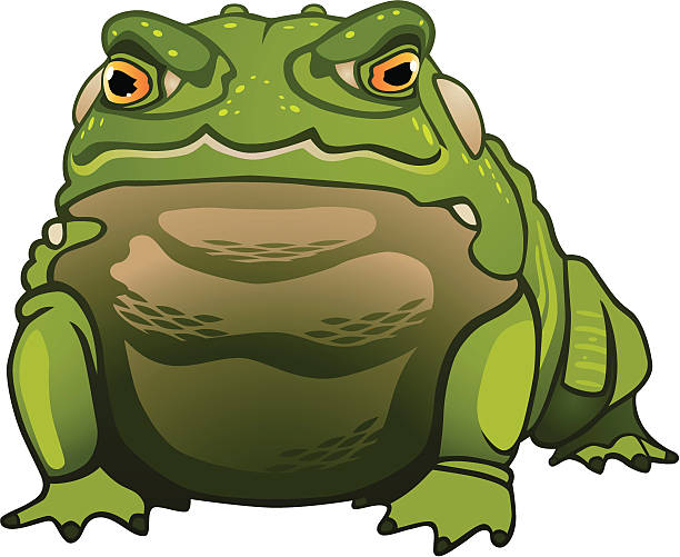 612x501 Toad Clipart