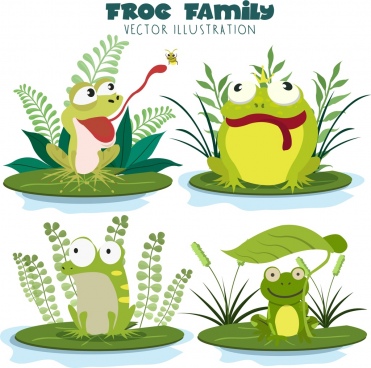 371x368 Toad Free Vector Download