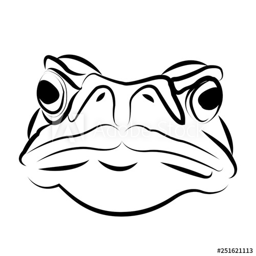 500x500 Toad Vector
