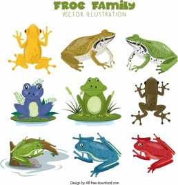 258x268 Toad Vectors Stock For Free Download
