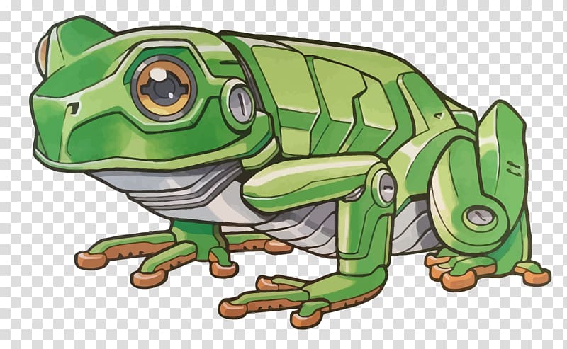 800x493 True Frog Toad, Machinery Frogs Transparent Background Png Clipart