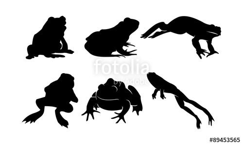 500x299 Vector Silhouette Of Frog And Toad In Bundle Stock Image