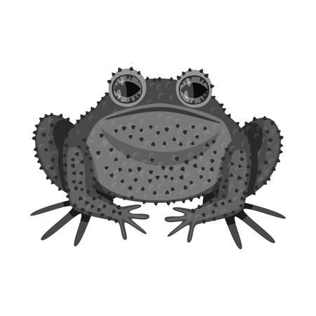 450x450 Vector Design Of Toad And Biology Icon Collection Of Toad