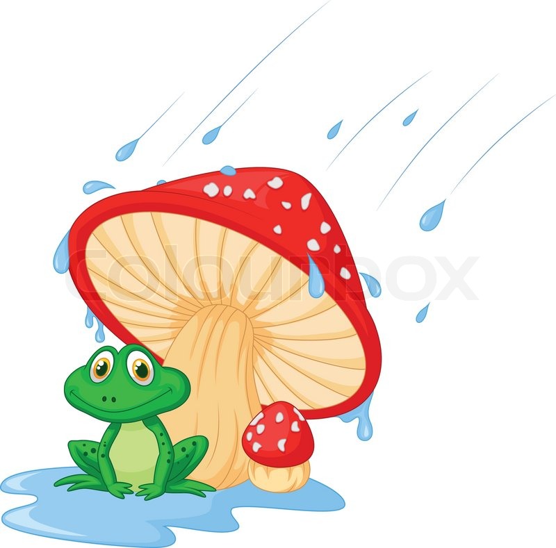 800x789 Vector Illustration Of Cartoon Stock Vector Colourbox