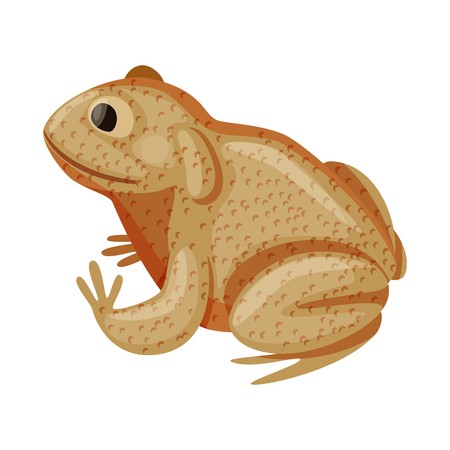 450x450 Vector Illustration Of Toad And Tropical Logo Set Of Toad