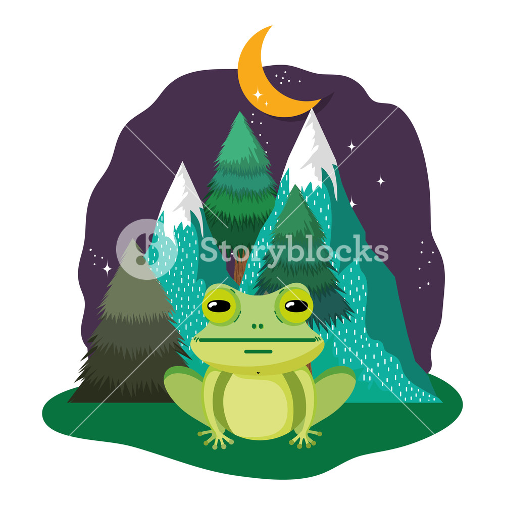 1000x1000 Cute Toad In The Landscape On The Night Vector Illustration Design