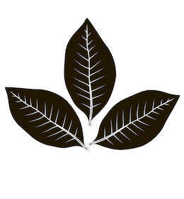 Tobacco Leaf Clipart Leaves Vector Nw Stock 260x280 Tobacco Leaf Clipart Leaves Vector Nw Stock