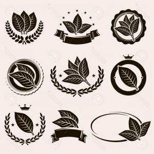 Tobacco Leaves And Cigar Color On The Theme Of Vector Hoodamathrun 300x300 Tobacco Leaves And Cigar Color On The Theme Of Vector Hoodamathrun