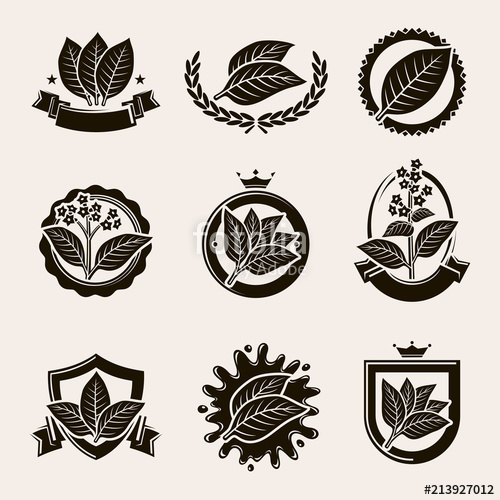 Tobacco Leaf Label And Icons Set Vector Stock Image And Royalty 500x500 Tobacco Leaf Label And Icons Set Vector Stock Image And Royalty