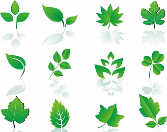 Tobacco Leaves Clipart Free Cliparts Download Images 340x270 Tobacco Leaves Clipart Free Cliparts Download Images