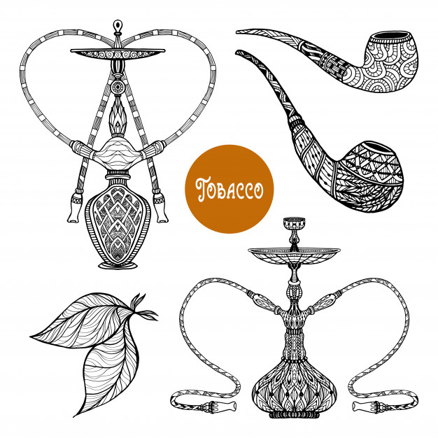 626x626 Tobacco Vectors, Photos And Free Download