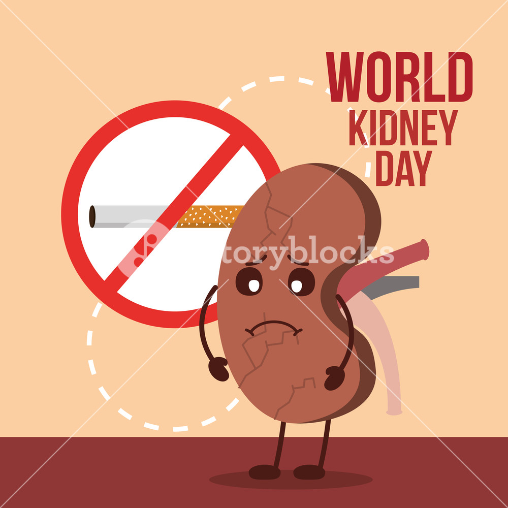 1000x1000 World Kidney Day Sick Organ And Prohibited Tobacco Vector