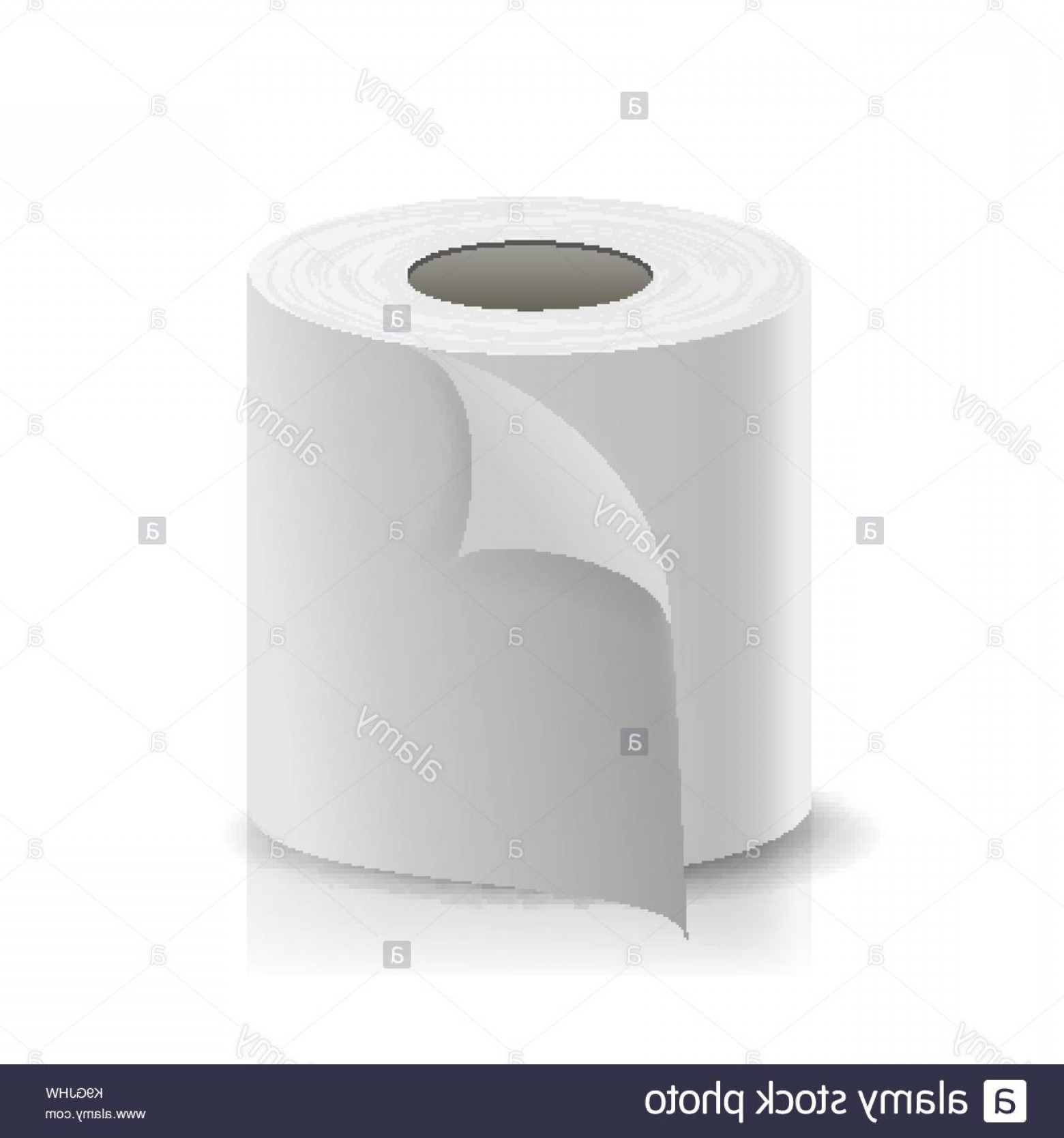 Toilet Paper Vector at Vectorified.com | Collection of Toilet Paper ...