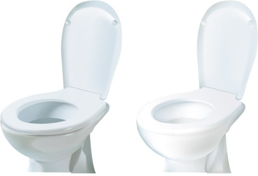 532x363 Toilet Seat Free Vector Download
