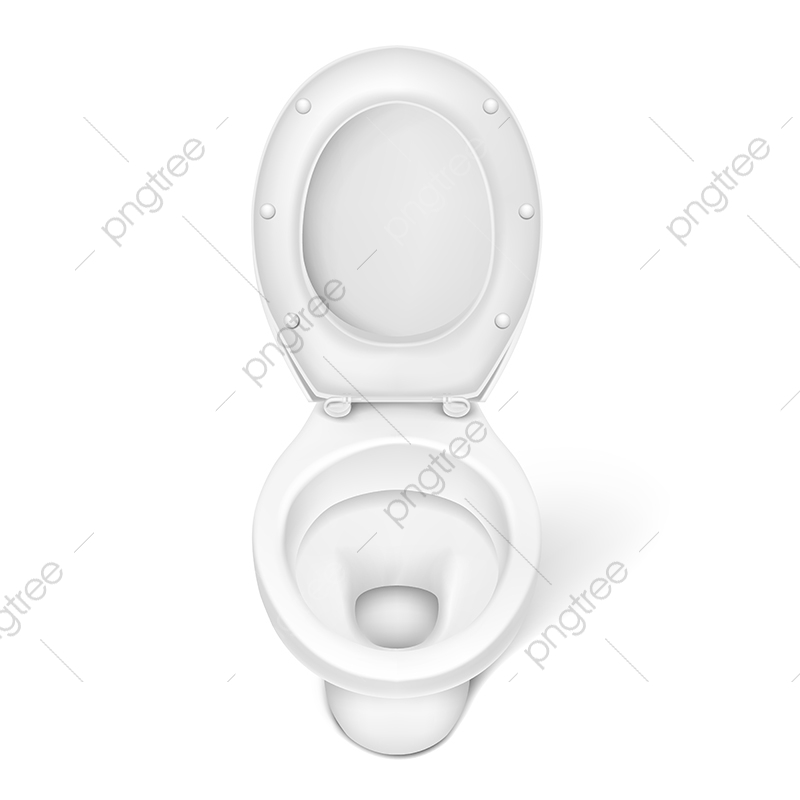 800x800 Vector Illustration Of Realistic Toilet Bowl White Porcelain Se