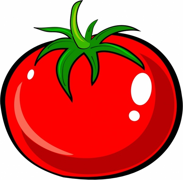 600x593 Tomato Free Vector In Adobe Illustrator